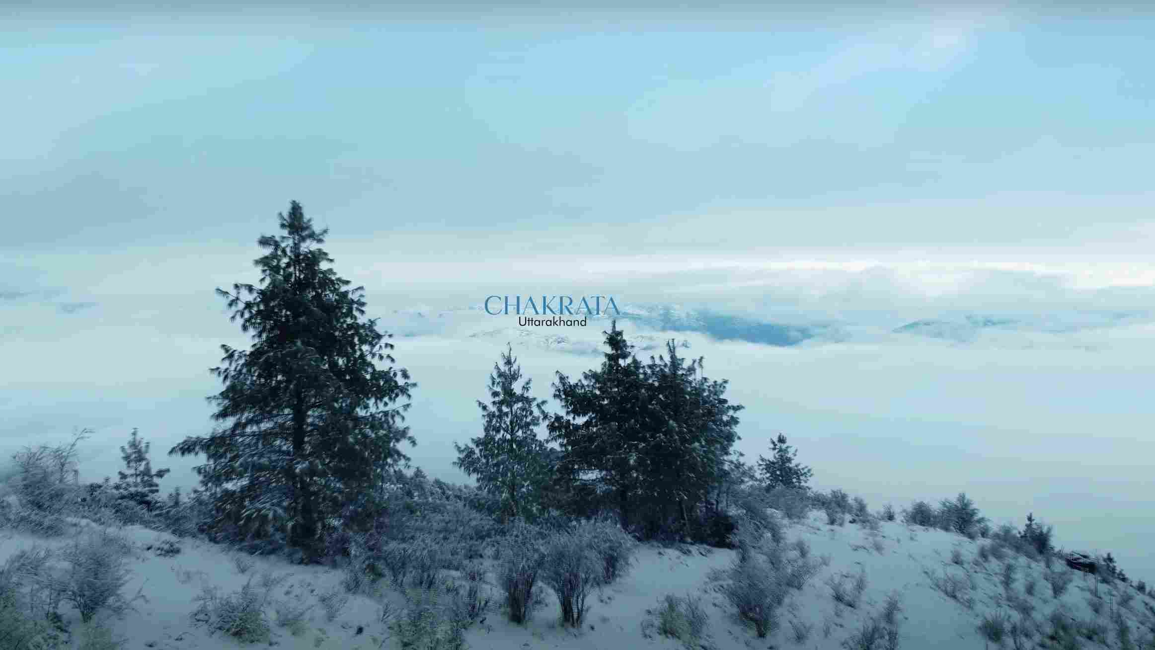 Deodar Trails